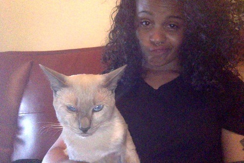dynastylnoire:  brklynbreed:  of course i’ve been really sad with all my thoughts recently. i call myself crying about the thought of not being able to afford to have this cat and he jumps on my lap and licks my face.  he then proceeds to give me this