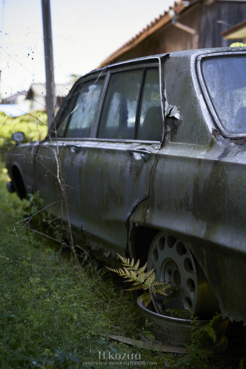 “ Wheel Plants ” α7RII Planar T* FE 50mm F1.4 ZA