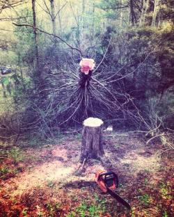 yellowtulipfinch:  The 30 year old cedar came down in the storm.