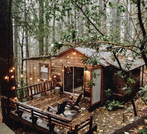 utwo: The Cobb Haus  This recently renovated cabin is nestled among the beautiful dogwoods  and fir trees of Cobb, Ca. Minimally decorated with the perfect  combination of modern and rustic decor, you’re sure to love the charm it  has to offer. Located