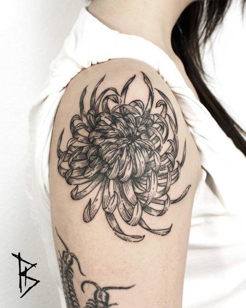 Nitty Gritty Tattoo  Barber Co on Instagram Shoulder Chrysanthemum  Tattoo by cortneytattoos      tattoo tattooideas chrysanthemum  chrysanthemumtattoo fineline