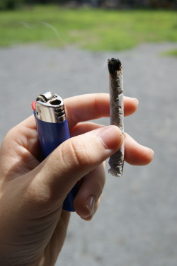 mary-over-molly:  nature joint 