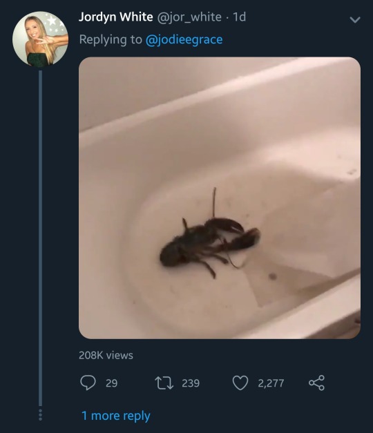 lemonvortex:  lemonvortex:  Women on twitter are sharing weird things theyve seen in bathrooms at guys houses and im fucking screaming why are men like this  ONE OF THEM HAD A GARDEN HOSE INSTEAD OF A SHOWERHEAD BYE