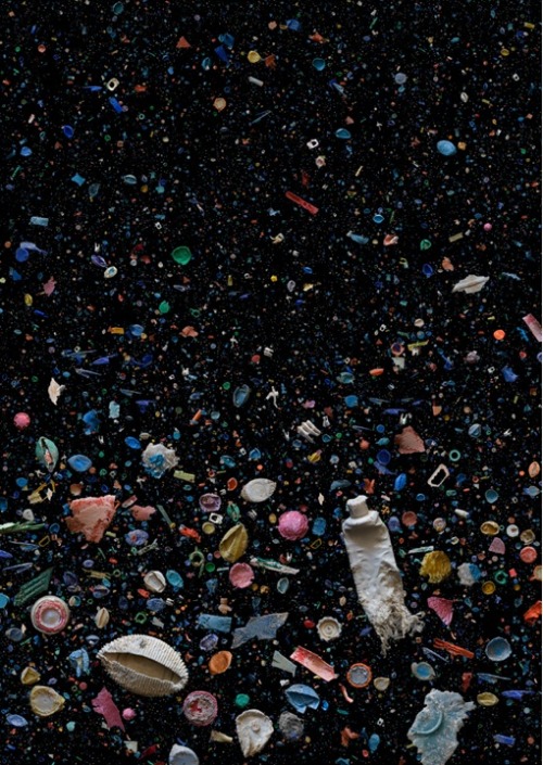 desuu-ka:   Underwater trash photos look like scenes from an alien world