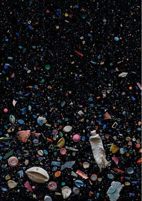 desuu-ka:    Underwater trash photos look porn pictures