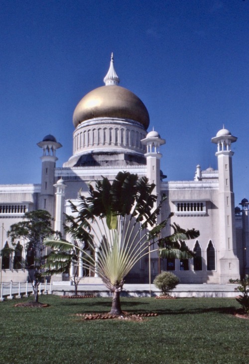 Mosque With Fan Palm, Bandar Seri Begawan, Brunei, 1978.