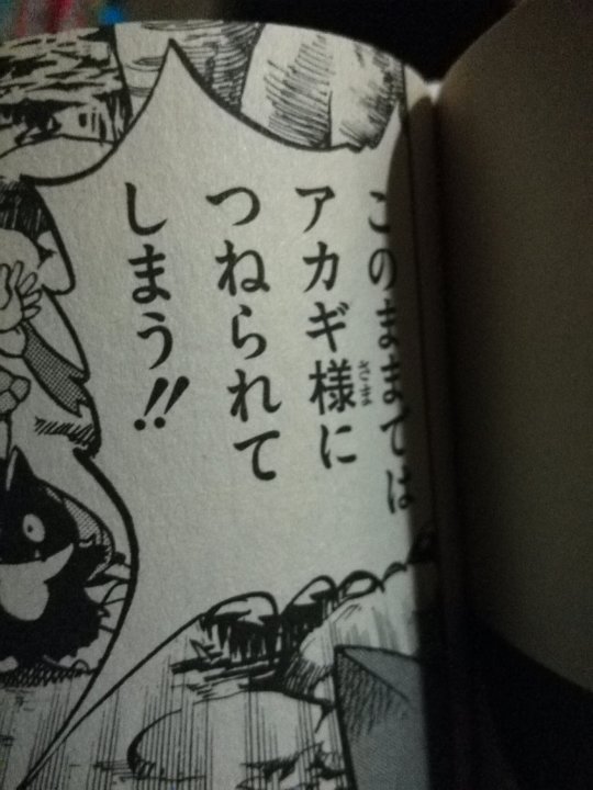 ヒコザル Explore Tumblr Posts And Blogs Tumgir