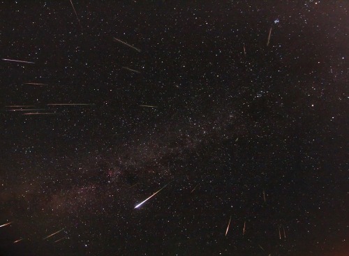 wonders-of-the-cosmos: This is a composite of meteor images captured during the Perseid maximum in t