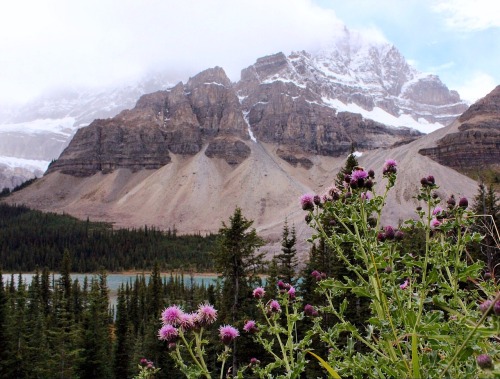 trailthesun: Icefields Parkway The best and most beautiful road in North America! © Michelle Ge