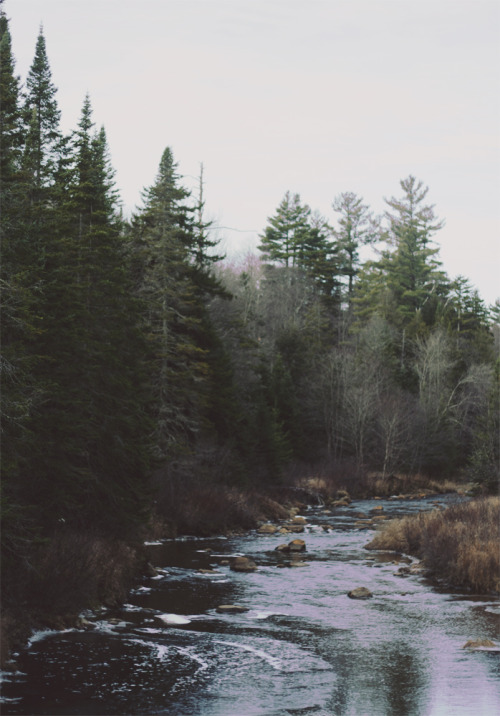 easied: Untitled by Emily Lauren Boyer