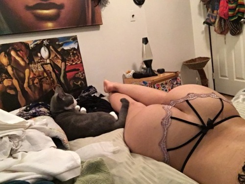 foreverwanderingoff: pinkbum:  these are my fav undies cuz they’re adorable & feel like I have nothing on! and that’s luno & Lohan 😊   Your cat and these undies are so so cute ! Submitted by : Foreverwanderingoff  thank you!!! c: 