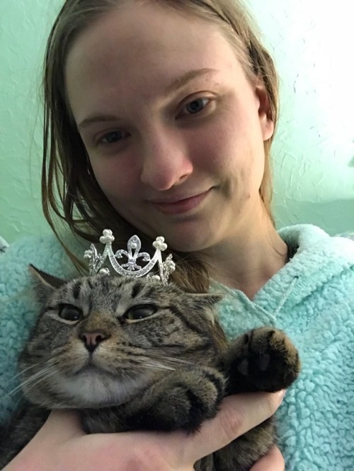 coolcatgroup:Princess Tigerbelle’s tiara came today!!! She is officially a princess!!! I&rsquo