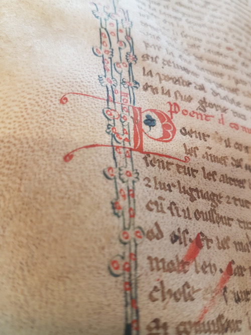 upennmanuscripts: LJS 55 - L'image del monde … This manuscript is a copy of the version in ve