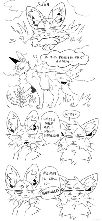 found some old oc sketches in my files&hellip;those ol conflict cats, it&rsquo;s really been awhile