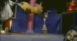 gutsanduppercuts:  What do you mean you’ve never seen a man fight in a small row