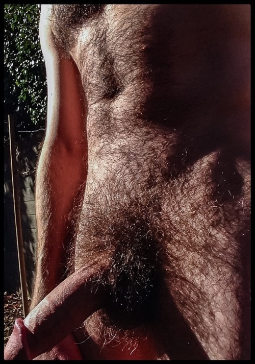 thebearunderground: The Bear Underground - best in masculine hairy menWith over 53,000+ pics and vid