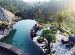 dullwhitegirl:  Goal backyard 