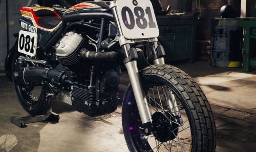 caferacerpasion:  🏁 caferacerpasion.com 🏁 Moto Guzzi Griso #FlatTrack - Cafe Racer Napoli - Lord of the Bikes [TAGS] #caferacerpasion #motoguzzi #caferacersofinstagram #caferacerxxx #caferacerporn #caferacergram #custommotorcycles
