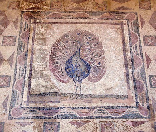 via-appia:Peacock mosaic, Paphos, CyprusRoman, 2nd Century