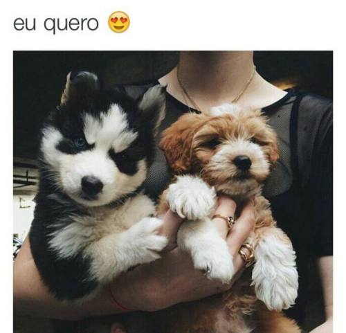 http://tombamento.tumblr.com/post/115973018610