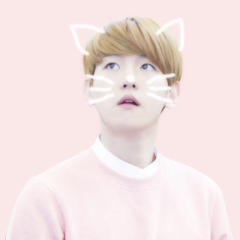 akumayeol:  baek icons for anon ♡ 