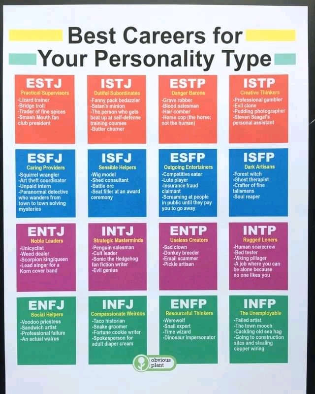 Matt MBTI Personality Type: ESFP or ESFJ?