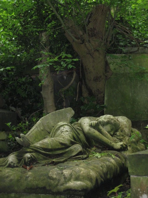Sleeping Angel At The Highgate Cemetery, United Kingdom