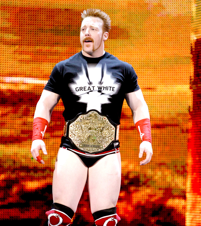 fishbulbsuplex:  World Heavyweight Champion Sheamus  Don&rsquo;t worry Sheamus