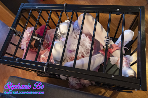 Sissy in a Cage 1