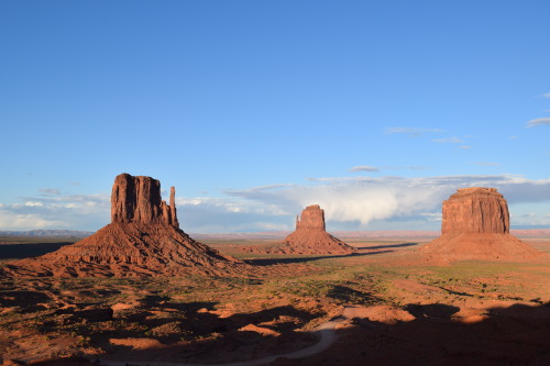 dragonbunni:Last year I took an amazing road trip..ZionByrce CanyonCapitol ReefArchesMonument Valley