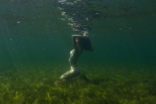Tori Bellentina underwater off Rickett&rsquo;s Point, Melbourne, AU. March 2013