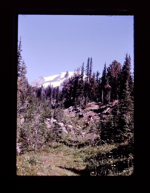 slideofthetimes: hawks and mountains, the pnw in a nutshell / photos not dated