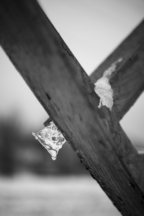 Icicles on Metal 2Canon EOS M5 + EF-M 32mm f/1.4 STMRedbubble | Instagram | Portfolio | Support me o