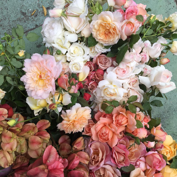 roseperfume:https://www.instagram.com/p/BNCz4Z_A-ll/