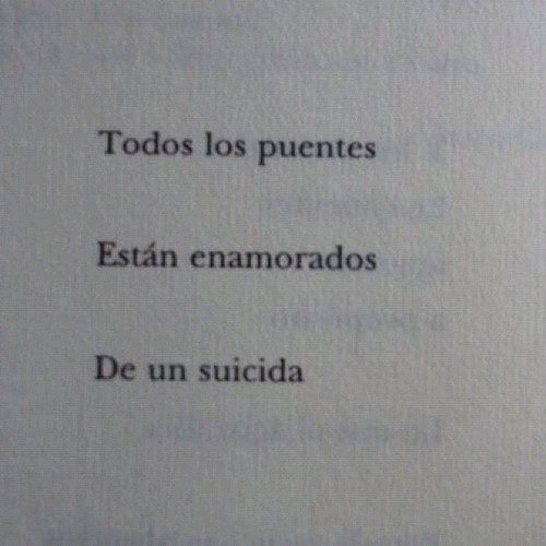Pequeños Infinitos