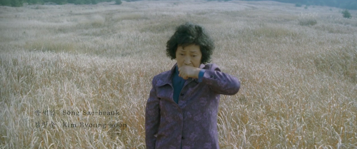 kim hye-ja in mother (2009) / dir. bong joon-ho