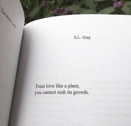 poems-and-word:Poems &amp; Words