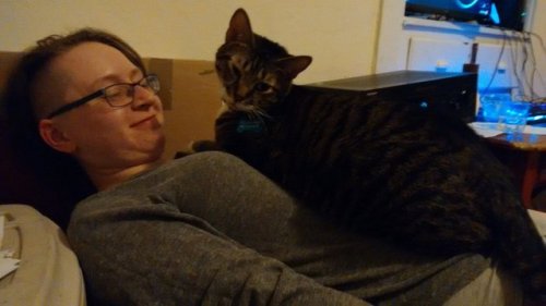 mirapunk: Otis decided I was a bed