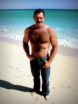 Bears, daddy, handsome older man, mature