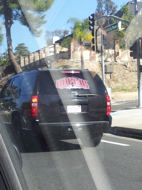 redscout:  we saw a van with a decal on the back that said “VAPING” and a license plate that said “SO SICC” 