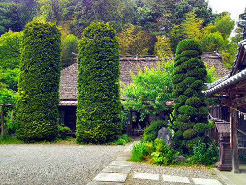 竹寺 by hamapenguin on Flickr.