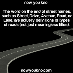 jo-biz:  nowyoukno:  Source for more facts follow NowYouKno A road has no special qualifiers. It connects point a to point b. A street connects buildings together, usually in a city, usually east to west, opposite of avenue. An avenue runs north