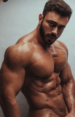 awesomecutmuscle:  