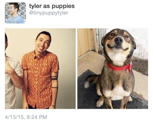 tylerjoxeph:I think I’ve found my new favorite Twitter account