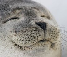 me