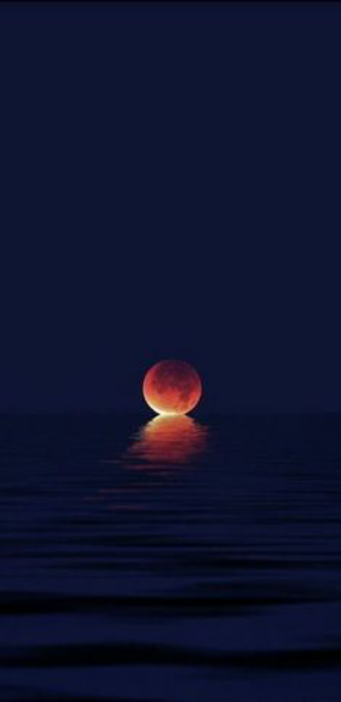i-remember-it-4ll-too-well:  Good night. Mopn kisses sea on We Heart Ithttp://weheartit.com/entry/114080056/via/daysis