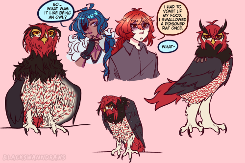 Some Fanart For This . Spectacular Fic The Uncrowned Owl King By OrcinusAstra On Ao3 !! Owl Diluc Is