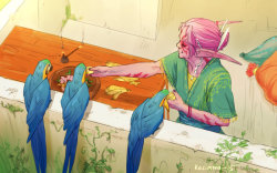 kasimova-daria:  And here is granny Aovin feeds Ara parrots on her balcony/temple. What a citue :зRef from here