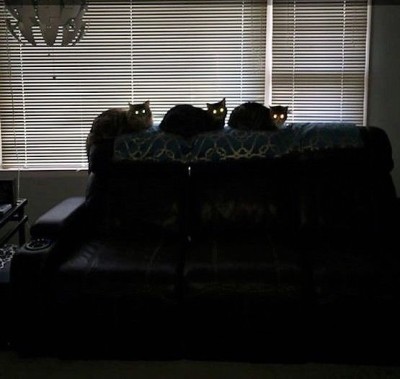 catasters:
