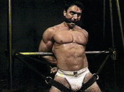 Business Of Punishment